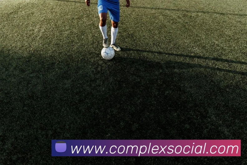 mk官网登录入口APP 封面图